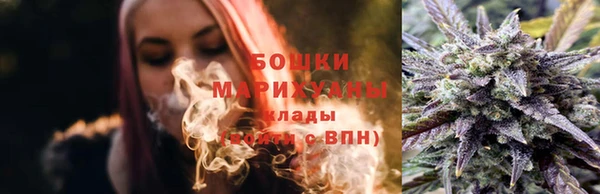 шишки Алзамай