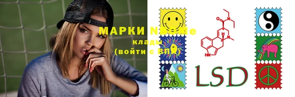 шишки Алзамай