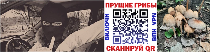 Галлюциногенные грибы Psilocybine cubensis  наркота  hydra зеркало  Бабаево 